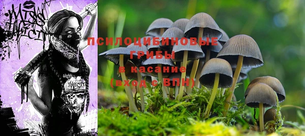 меф Белокуриха
