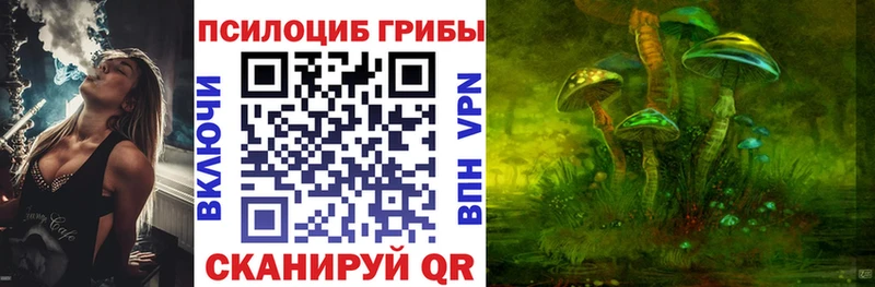 наркотики  Высоковск  Галлюциногенные грибы мицелий 